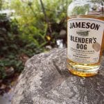 Jameson Blender’s Dog Review