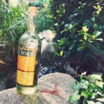 1997 Dram Collection Ledaig 17 Years Review
